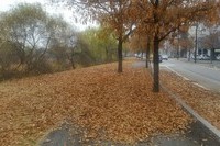 가을 풍경, 가을이 점점 깊어 간다.